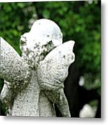 Stubby Little Wings Metal Print