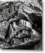 Stump Texture Metal Print