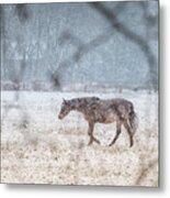 Suburb Of Hamburg.snow Metal Print