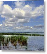 Summer Along Angler's Bay Metal Print