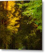 Summer And Fall Collide Metal Print