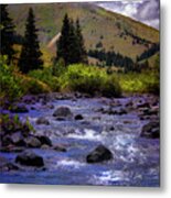 Summer At The Animas River Metal Print