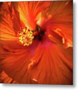 Summer Bloom Metal Print