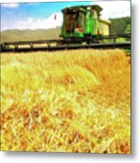 Summer Harvest Metal Print