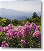 Summer In The Mountains Metal Print