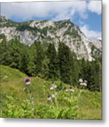 Summer In The Slovenian Alps Metal Print