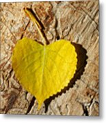 Summer Love Heart Shaped Leaf Metal Print