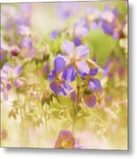 Summer Meadow Metal Print