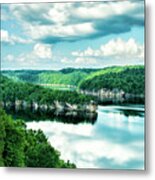 Summertime At Long Point Metal Print