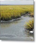 Summertime Salt Marsh Metal Print