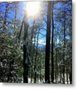 Sunbeam Winter Metal Print