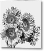 Sunflower Bouquet Bw Metal Print