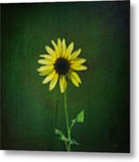 Sunflower Metal Print