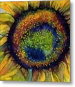 Sunflower  Emergence Metal Print