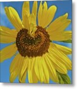 Sunflower Heart Metal Print