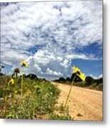 Sunflower Hitchhikers Metal Print