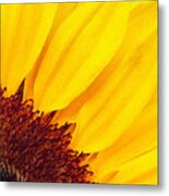 Summer Gold #1 Metal Print