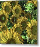 Sunflowers Metal Print