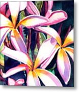 Sunny Day Plumerias Metal Print