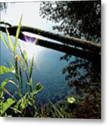 Sunny Riverbank Metal Print