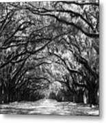 Sunny Southern Day - Black And White Metal Print