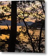 Sunrise In The Trees Metal Print