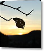 Sunset Metal Print