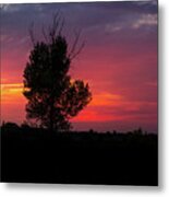 Sunset At The Danube Banks Metal Print