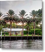 Sunset Behind Residential Palms Metal Print