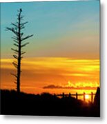 Sunset Silhouetted Snag Metal Print