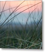 Sunset  Through The Marsh Grass Metal Print