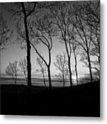 Sunset Trees Metal Print