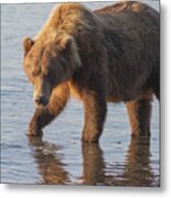 Sunshine Bear Metal Print