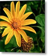 Sunshine Cheerleader Metal Print