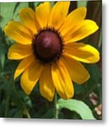 Sunshine Metal Print