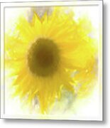 Super Soft Sunflower Metal Print