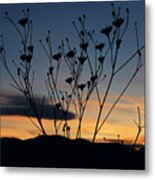 Superbloom Sunset In Death Valley 103 Metal Print