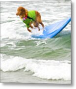 Surf Dog - Outta Here Metal Print