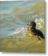 Surf Scoter Says I Am Resilient Metal Print