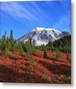 Surrounded By Fall Colors Metal Print