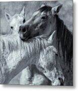 Surrounded By Love Bw Metal Print