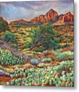 Surrounded By Sedona Metal Print