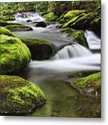 Surrounded In Green Metal Print