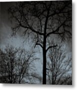 Surrounded Metal Print