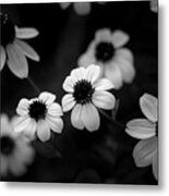 Susan's Metal Print