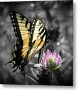 Swallowtail Butterfly- Color Pop Metal Print