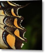 Swallowtail Butterfly Wing Metal Print