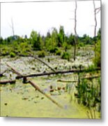 Swamp Habitat Metal Print