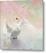 Swan Dream - Display Spring Pastel Colors Metal Print