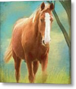 Sweeper Metal Print